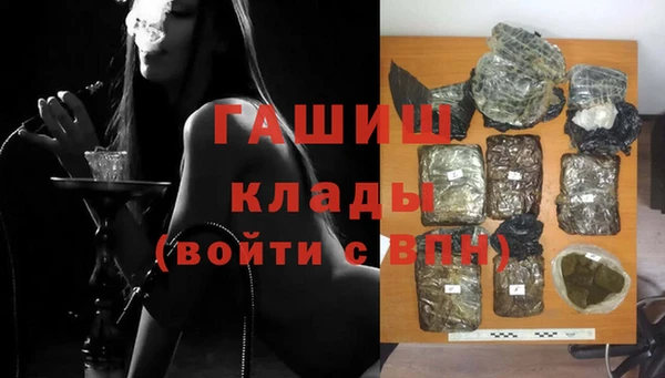 apvp Гусев