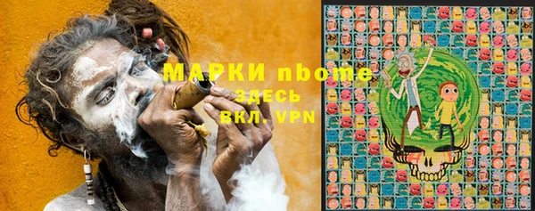 apvp Гусев