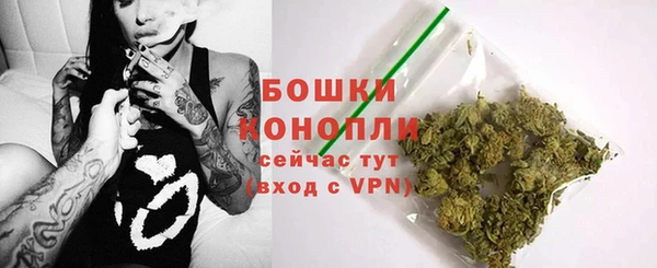 apvp Гусев