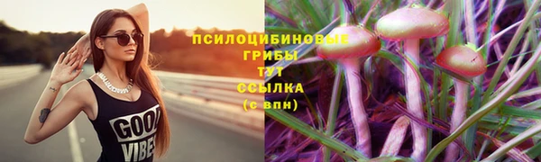 apvp Гусев