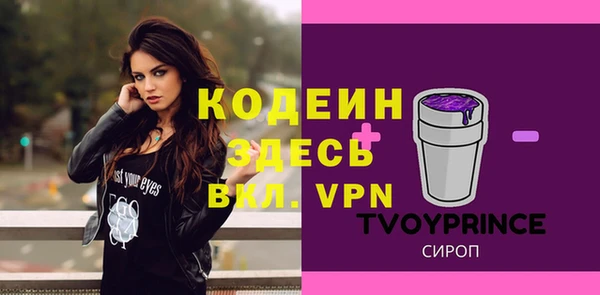 хмурый Заводоуковск