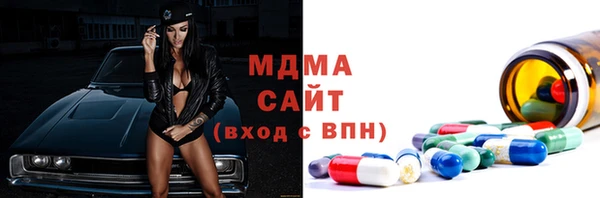 apvp Гусев