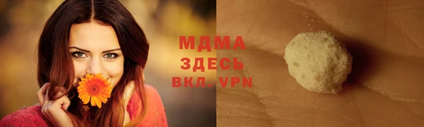 гидра Гусь-Хрустальный