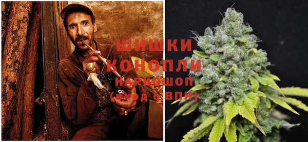 винт Дмитриев