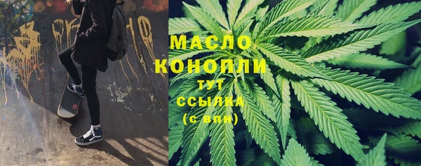 гидра Гусь-Хрустальный