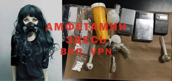 apvp Гусев