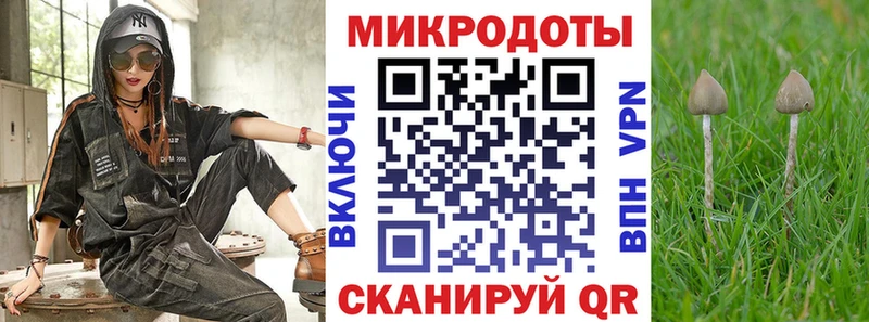 Галлюциногенные грибы Psilocybe Кодинск