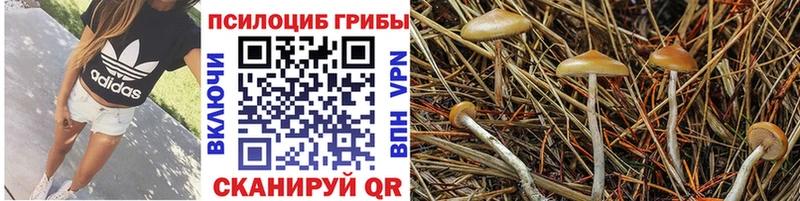Псилоцибиновые грибы мухоморы Купить где Кодинск